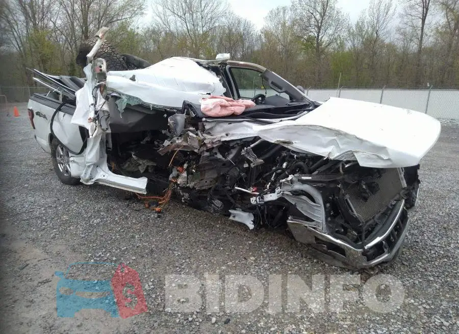 1FTEW1EP3LFA33916 Photo# 1