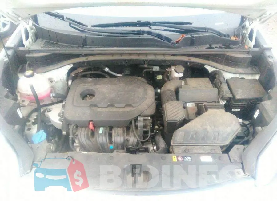 KNDPMCAC7M7900775 Photo# 10