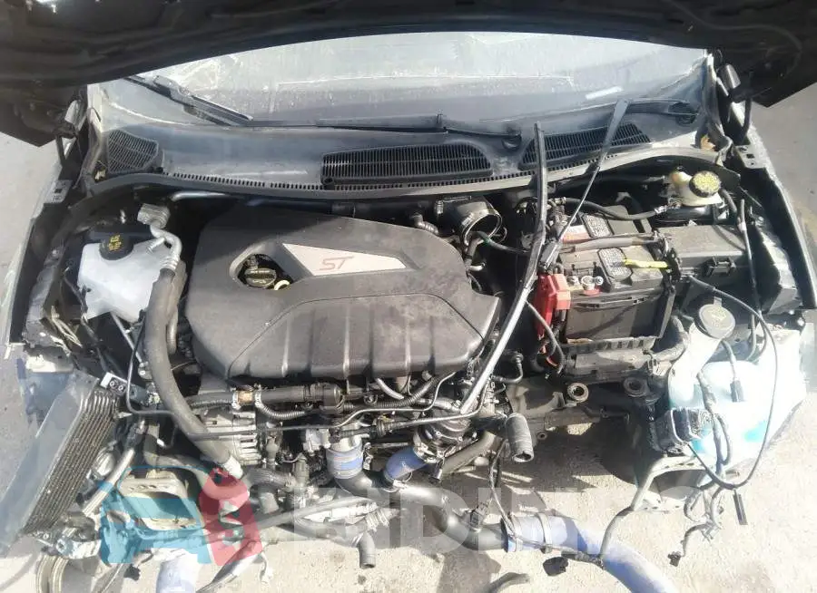 3FADP4GX6GM143538 Photo# 10
