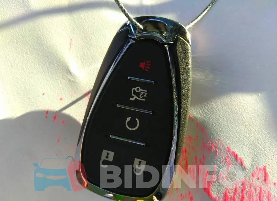 1G1FB1RS3M0109646 Photo# 11