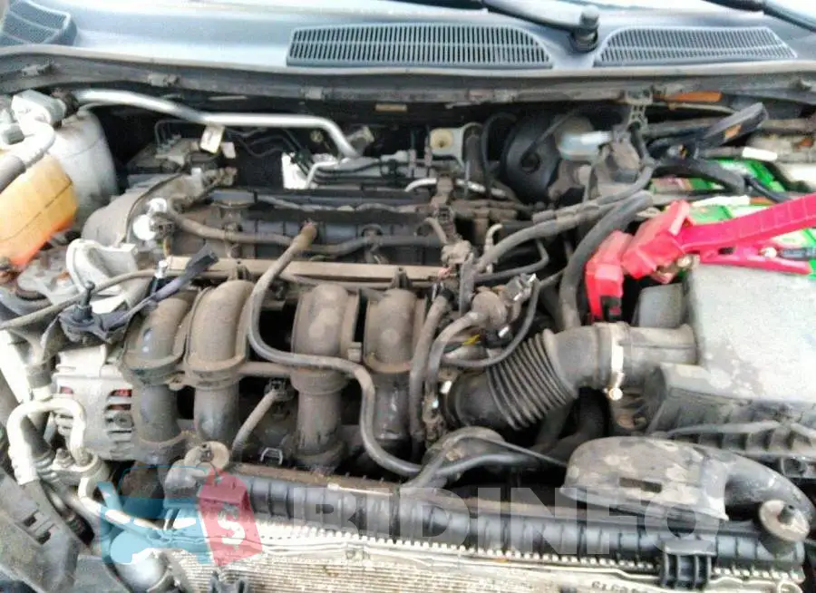 3FADP4EJ2EM102500 Photo# 10