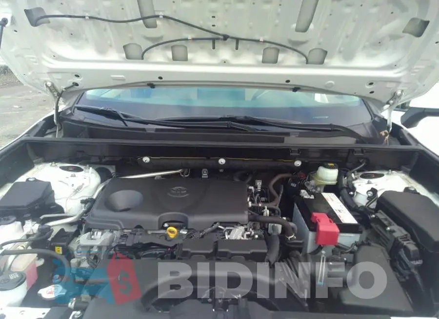 JTMP1RFV1KD013080 Photo# 10
