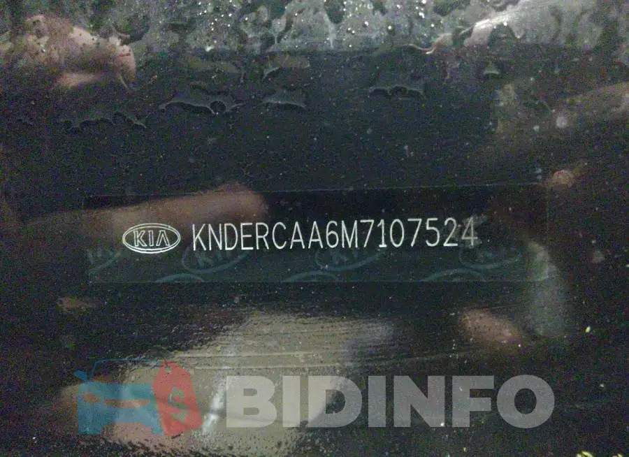 KNDERCAA6M7107524 Photo# 9