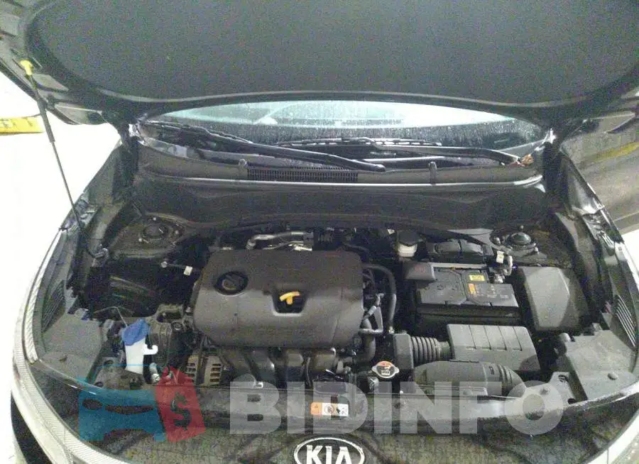 KNDERCAA6M7107524 Photo# 10