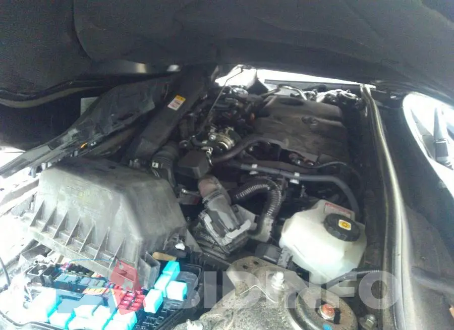 4T1S31AK3MU547084 Photo# 10