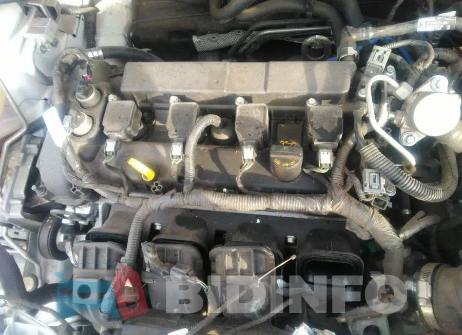 1FADP3K26GL340278 Photo# 10