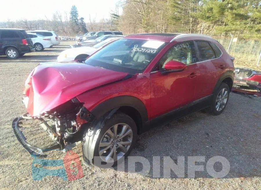 3MVDMBDL8NM403183 Photo# 2