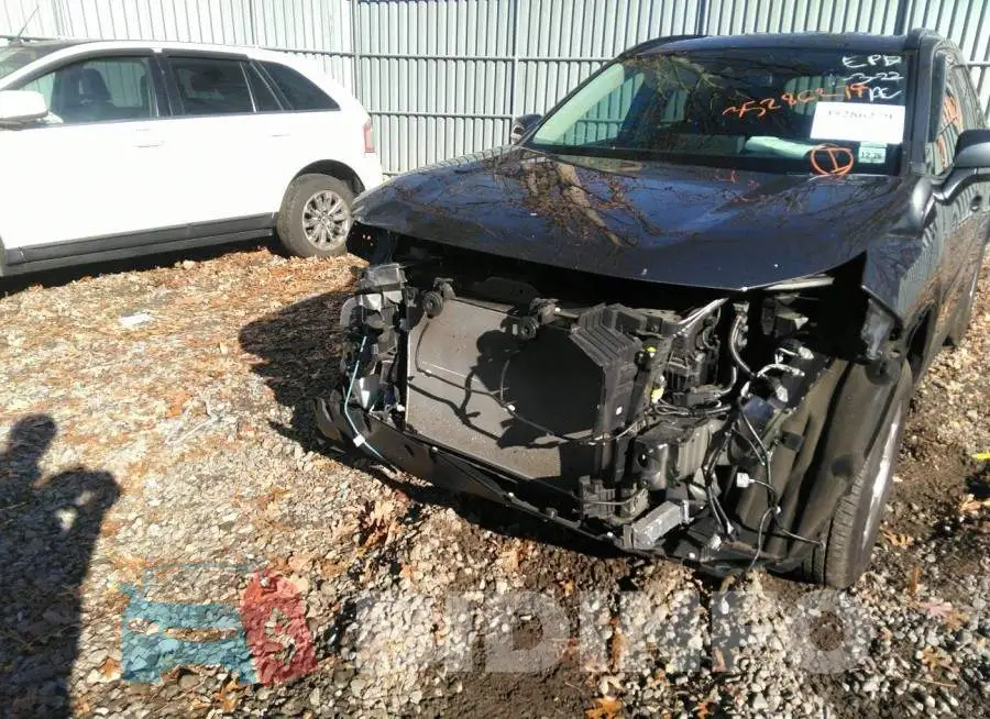 2T3P1RFV5MC255863 Photo# 6