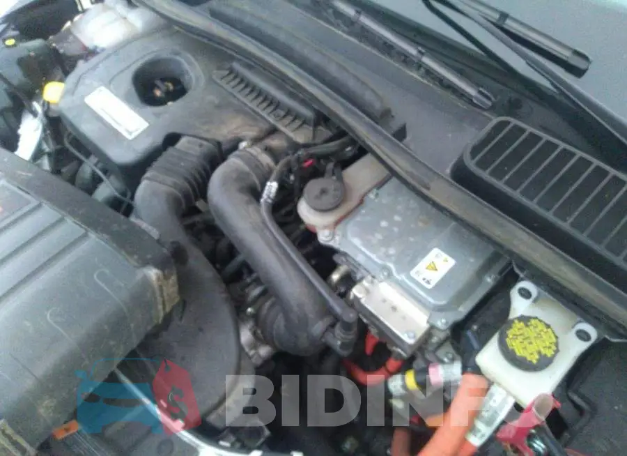 1FADP5BU7GL120242 Photo# 10