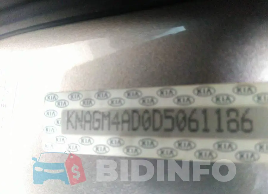KNAGM4AD0D5061186 Photo# 9