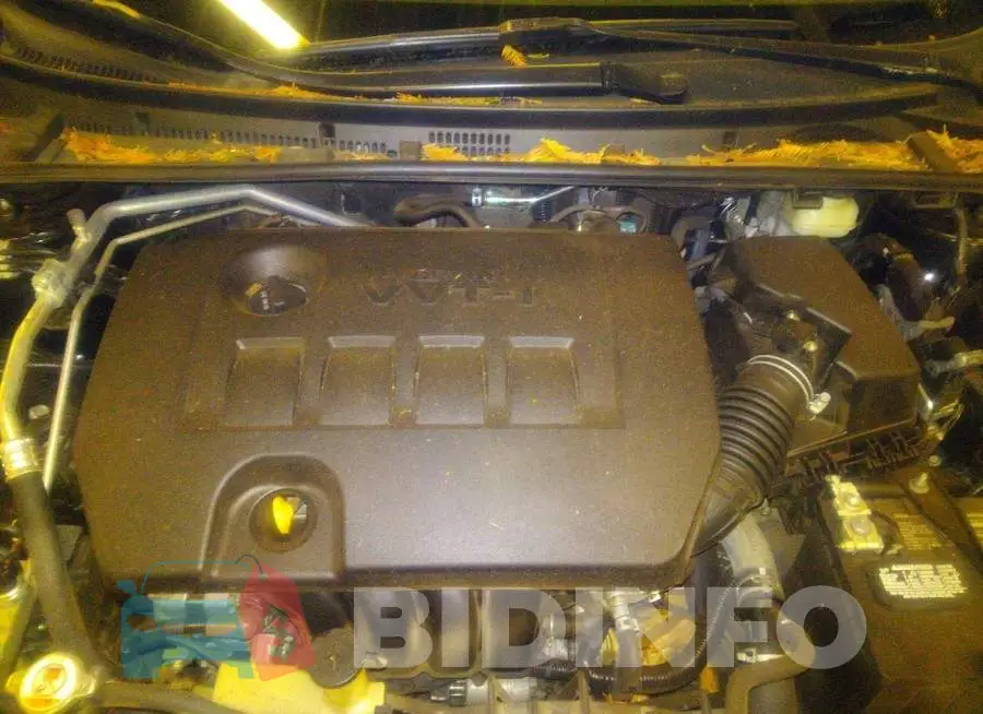 2T1BURHE9HC929607 Photo# 10