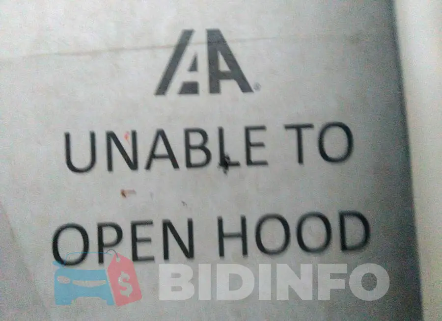 3N1CN8EV3ML856471 Photo# 7