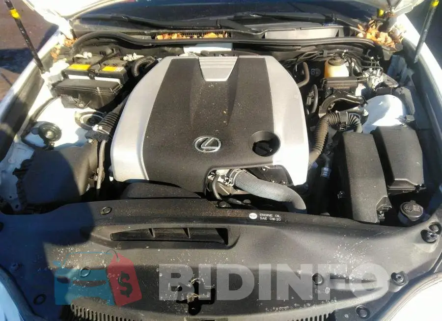 JTHCM1D24G5012084 Photo# 10