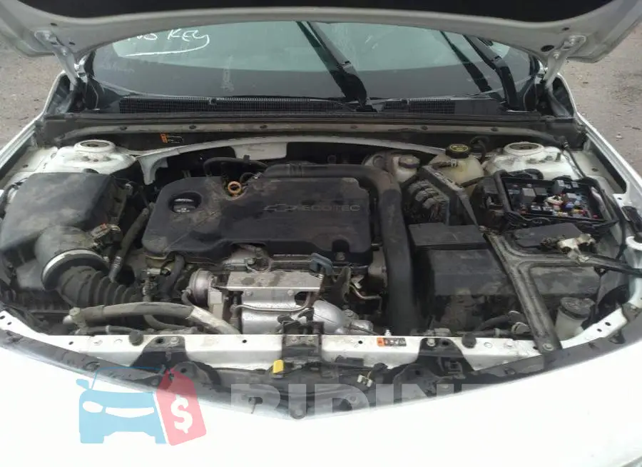 1G1ZB5ST1HF103712 Photo# 10