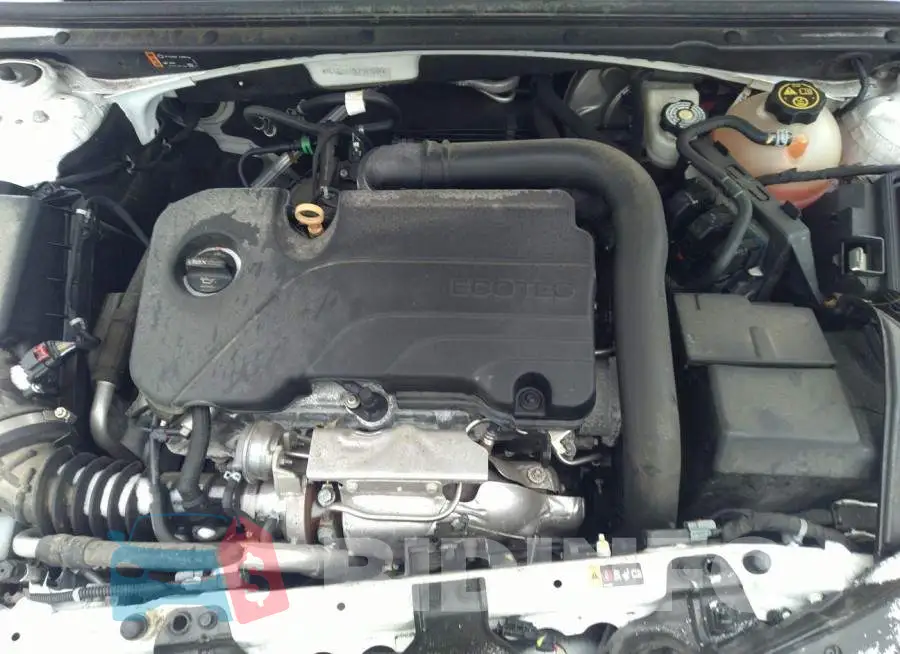 1G1ZD5ST0LF041044 Photo# 10
