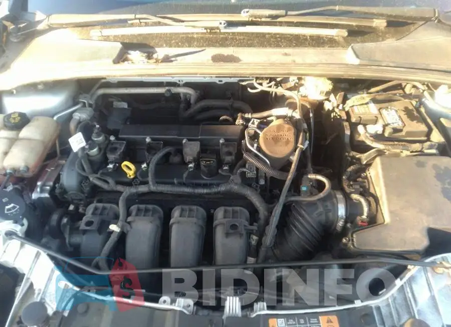 1FADP3F20GL282999 Photo# 10