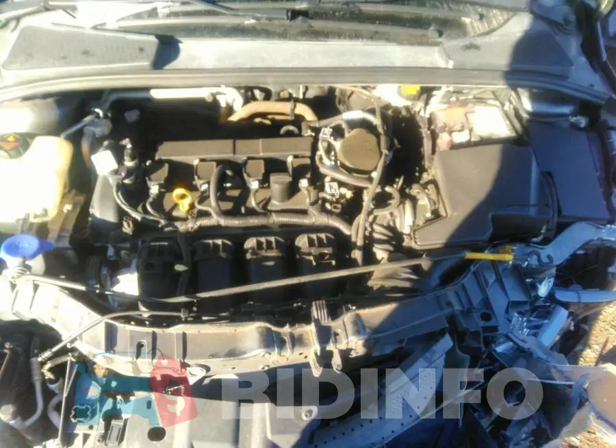 1FADP3F21GL203078 Photo# 10