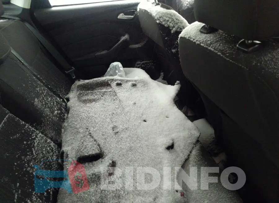 1FADP3F22GL240849 Photo# 8