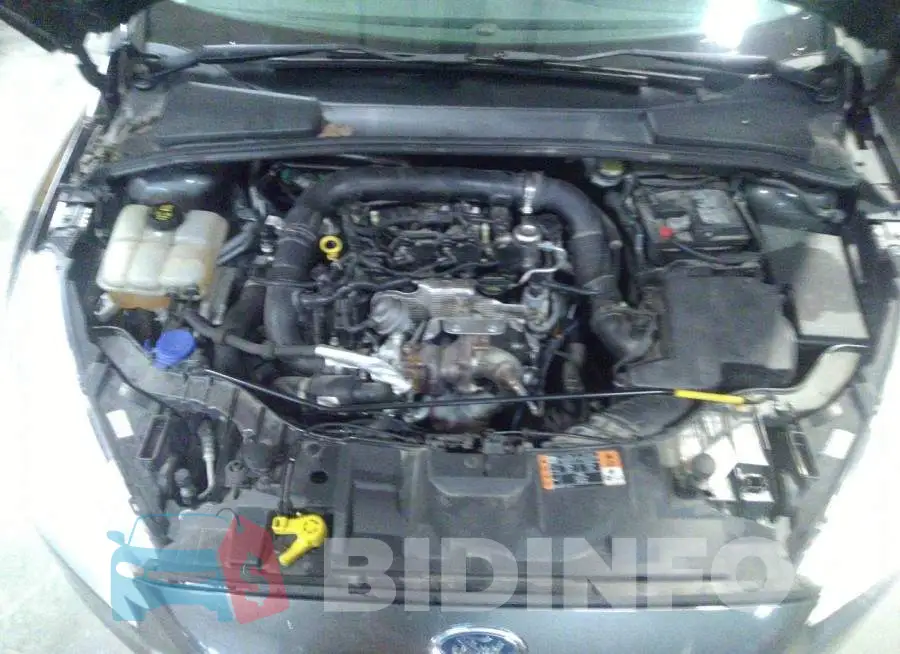 1FADP3FE2GL253515 Photo# 10