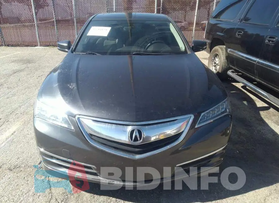 19UUB2F33FA001365 Photo# 6