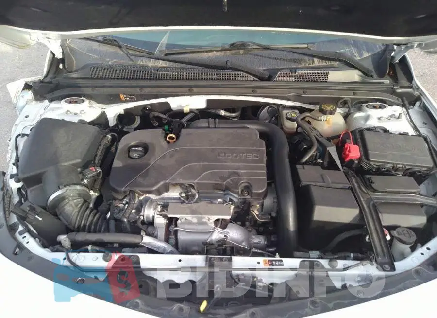 1G1ZD5ST8JF221420 Photo# 10