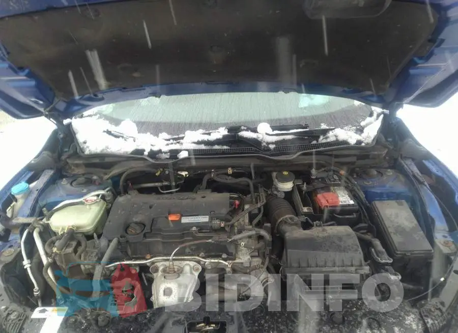 19XFC2F54GE243117 Photo# 10