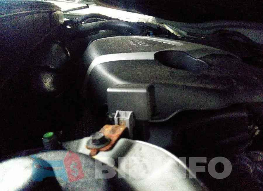 5NPEC4AB9EH911037 Photo# 10