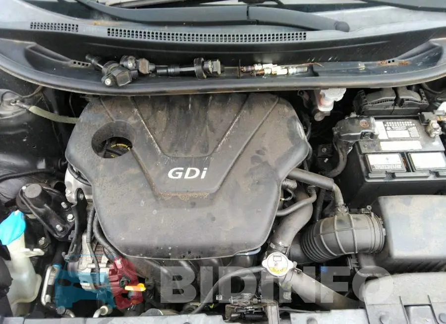 KNADM5A32D6262484 Photo# 10