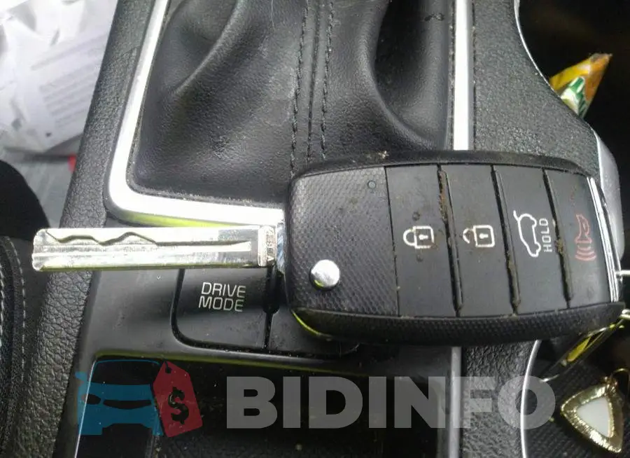 KNDPM3AC1L7640954 Photo# 11
