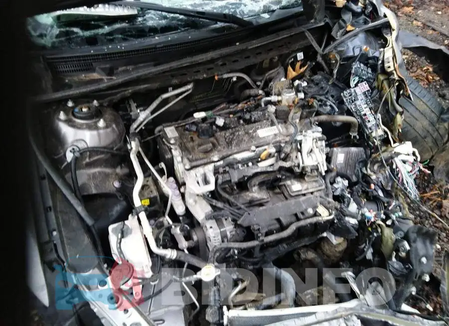 4T1M11AK8LU936154 Photo# 10