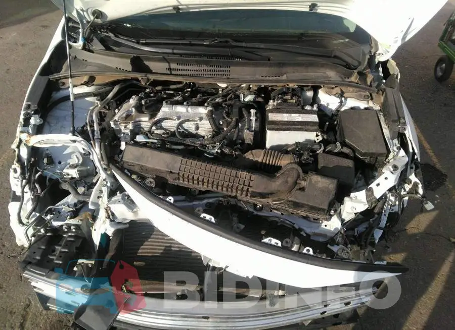 5YFEPMAE2MP222313 Photo# 10