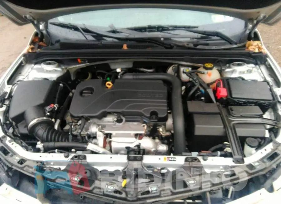 1G1ZD5ST3LF033746 Photo# 10