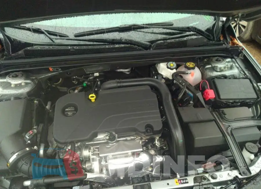 1G1ZD5ST8PF134013 Photo# 10