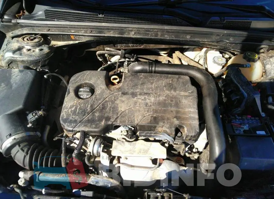 1G1ZE5ST1HF210833 Photo# 10