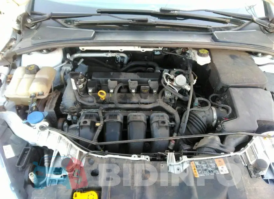 1FADP3E24JL202077 Photo# 10