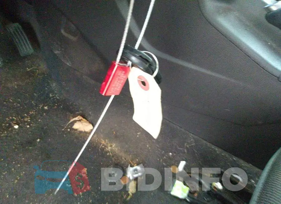 1FADP3F23EL431838 Photo# 11