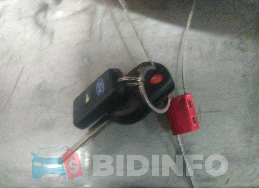 1FADP3F2XDL250461 Photo# 11