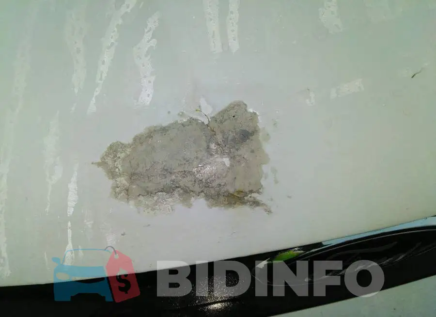 1FMCU0F77EUC09737 Photo# 6