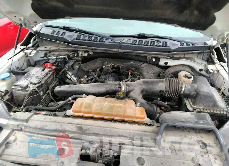 1FTEW1C45KKD83224 Photo# 10