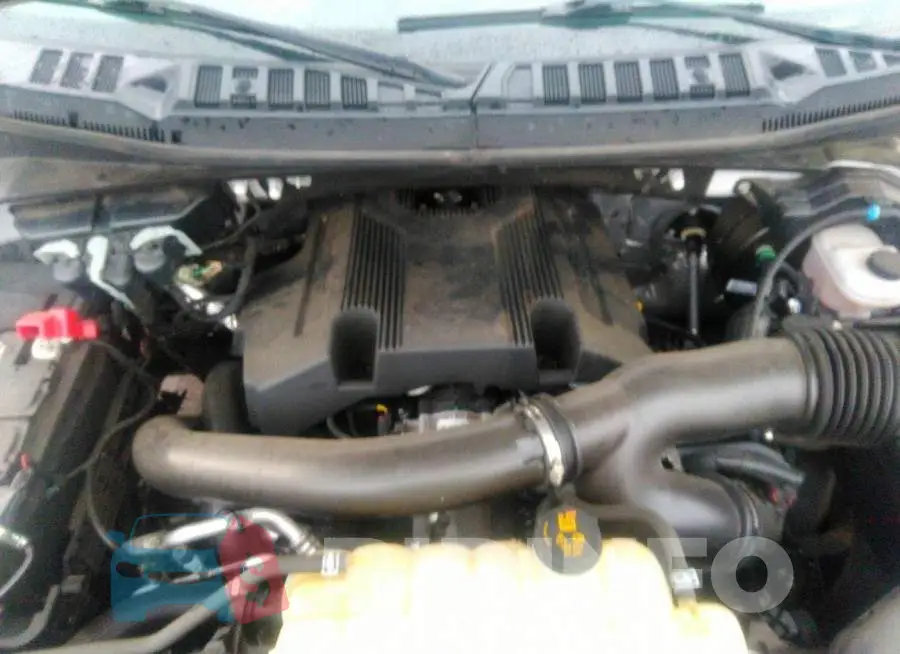 1FTEW1E48LFA72880 Photo# 10