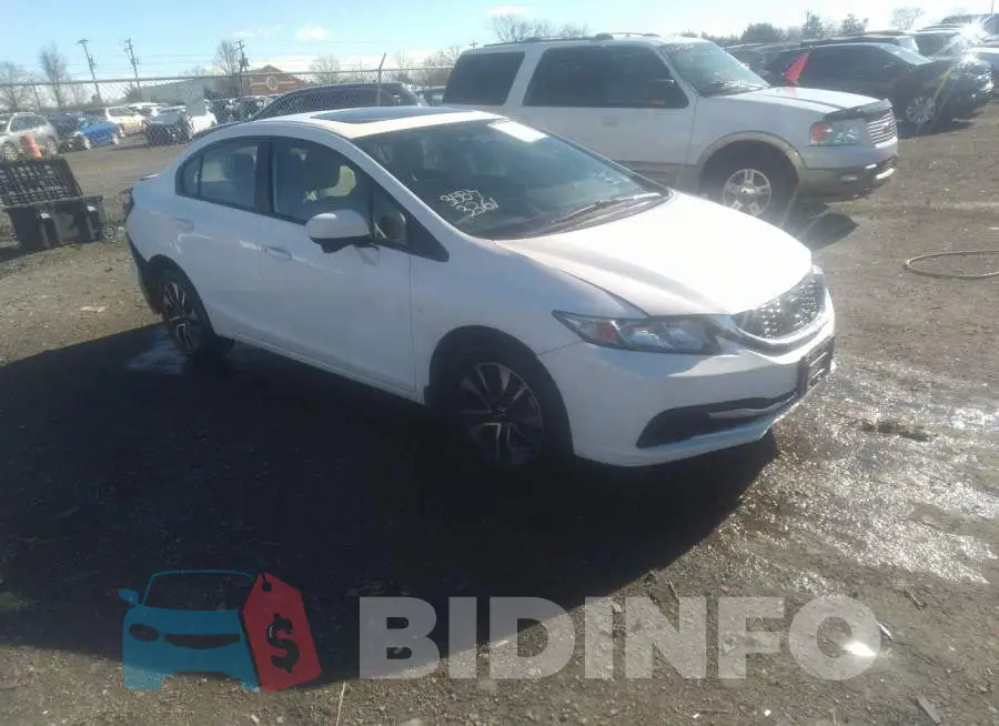19XFB2F88FE299024 Photo# 1