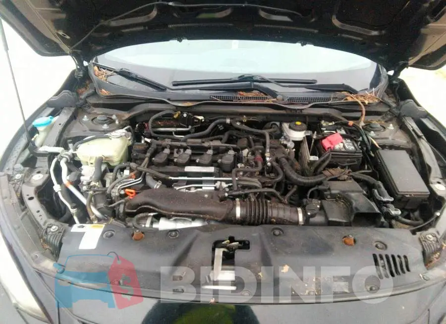 2HGFC1E50KH700886 Photo# 4