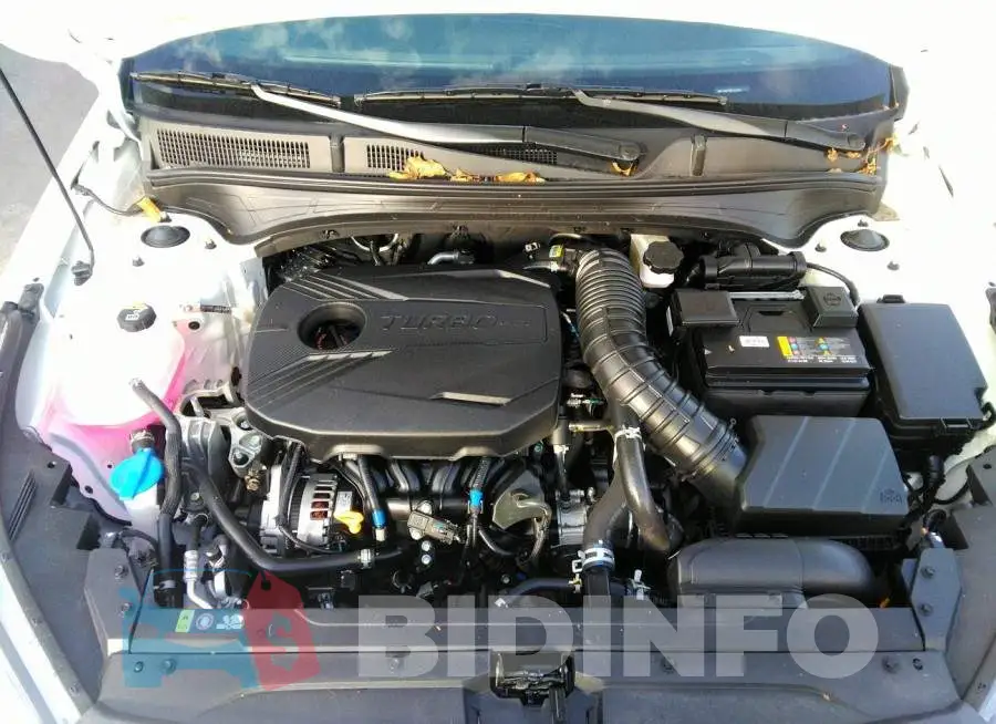 3KPF44AC7NE502565 Photo# 10