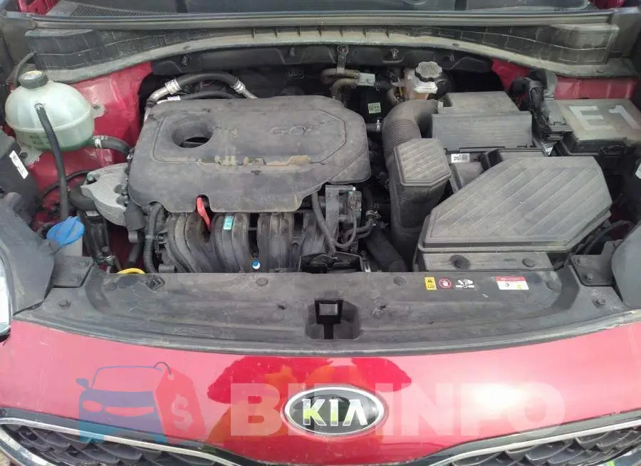 KNDPM3AC3M7858668 Photo# 10