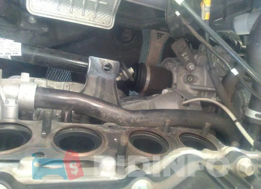 KNDPM3AC6L7737566 Photo# 6