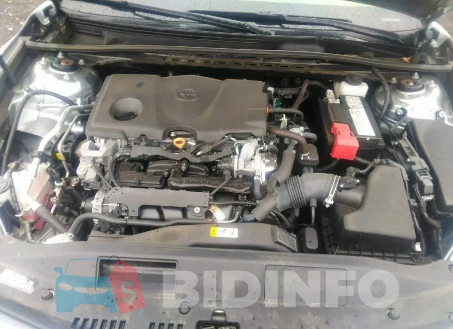 4T1M11AK5LU888080 Photo# 10