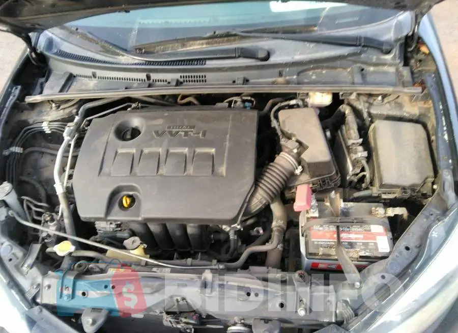 5YFBURHEXGP451809 Photo# 10
