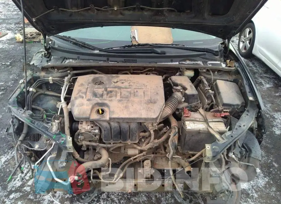 5YFBURHEXGP456234 Photo# 10