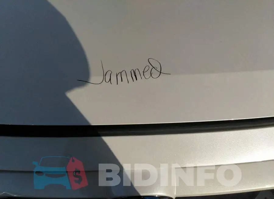 JTMFB3FV4MD041349 Photo# 10