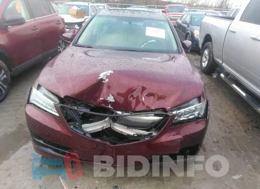 19UUB2F36GA009011 Photo# 6